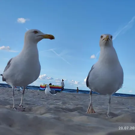 Promien Slonca Prázdninový areál Svinoústí