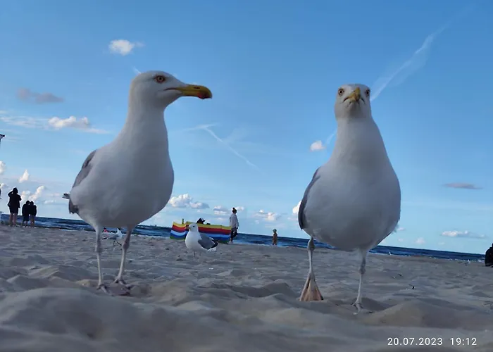 Promien Slonca Prázdninový areál Svinoústí